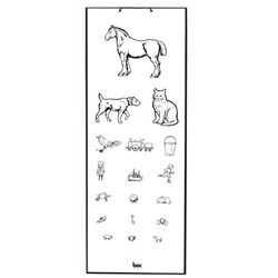 Eye Chart Child Standard Animal 6 Metres