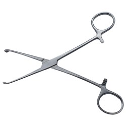 Forceps Tissue Allis 5 x 6 15cm (Theatre)