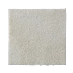 Biatain Alginate 10 x 10cm B10