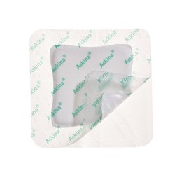 Askina DresSil Border Silicone Foam Dressing 10 x 10cm B10