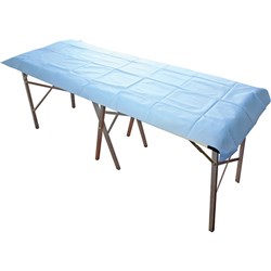 Stretcher/Modesty  Light Sheet Disp 200 x 70cm 40gsm L/Blue P10