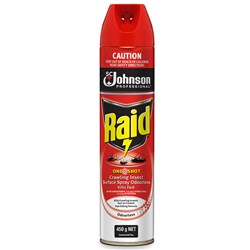 Raid One Shot Crawling Insect Killer Odourless 450g Can