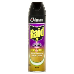 Raid One Shot Multi Purpose Insect Killer Citrus 375g Can