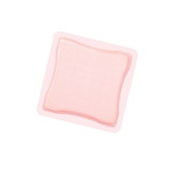 Allevyn Hydrocellular Dressings Adhesive 10 x 10cm BOX10