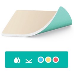 Sorbact Foam Dressings 10 x 20cm BOX10