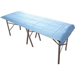 Stretcher/Modesty Light Sheet Disp 200 x 70cm 40gsm L/Blue PKT10