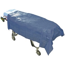 Stretcher/Modesty Light Sheet Large Disp 200 x120cm Blue PKT10