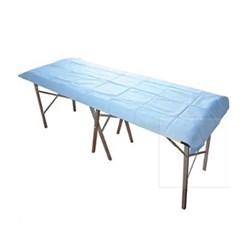 Flat Sheet Small Disposable 100 x 70cm 40gsm L/Blue BOX200