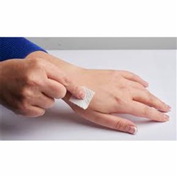 Primaswab Skin Cleansing Alcohol Wipes BOX200