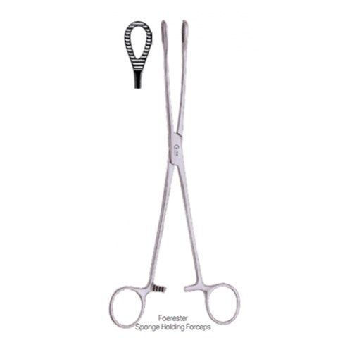 Forceps Sponge Holding Foerster 25cm Straight-Ser (Theatre)