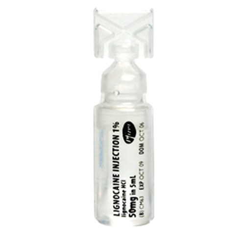 Lignocaine Injection Plain 1% 50 x 5ml SM