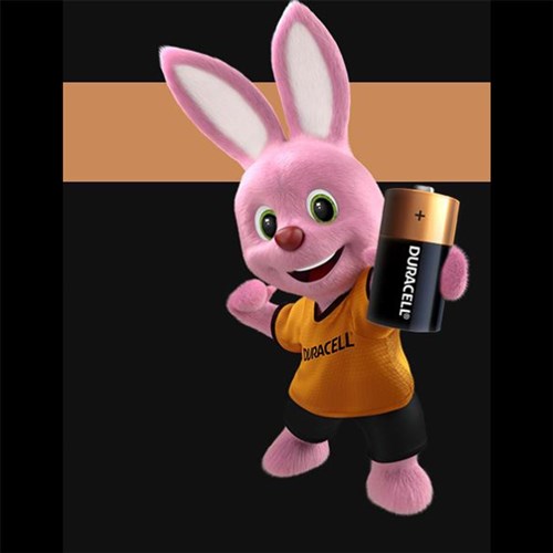 Battery Duracell Alkaline Size C